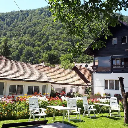 Pensiunea Mateo Maison d'hôtes Bran (Brasov)